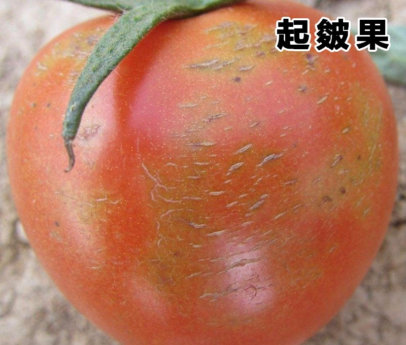 起皴.jpg