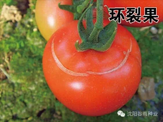 微信图片_20170826100539.jpg